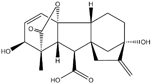 赤霉素GIBBERELLIC ACID，居然有這么神奇？